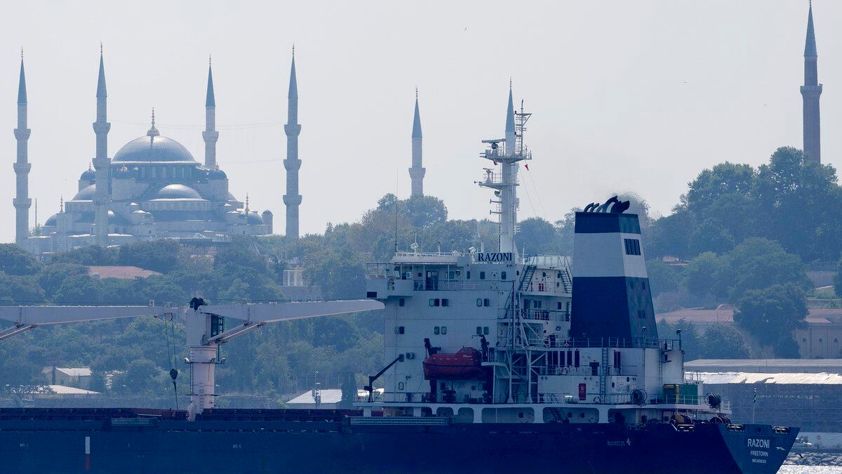 The cargo ship Razoni crosses the Bosphorus Strait in Istanbul, Turkey, Wednesday, Aug. 3,...