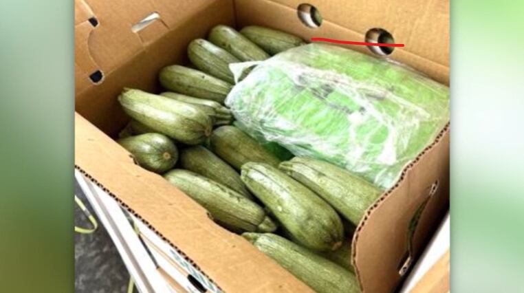 6 tons of meth found inside shipments of squash, border patrol says - Vimarsana News