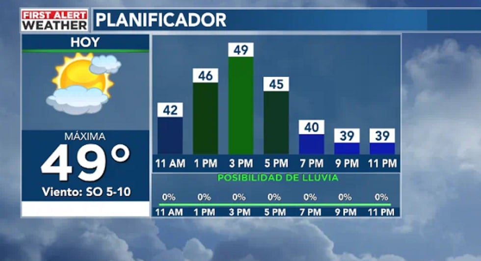 Pronostico por hora sales