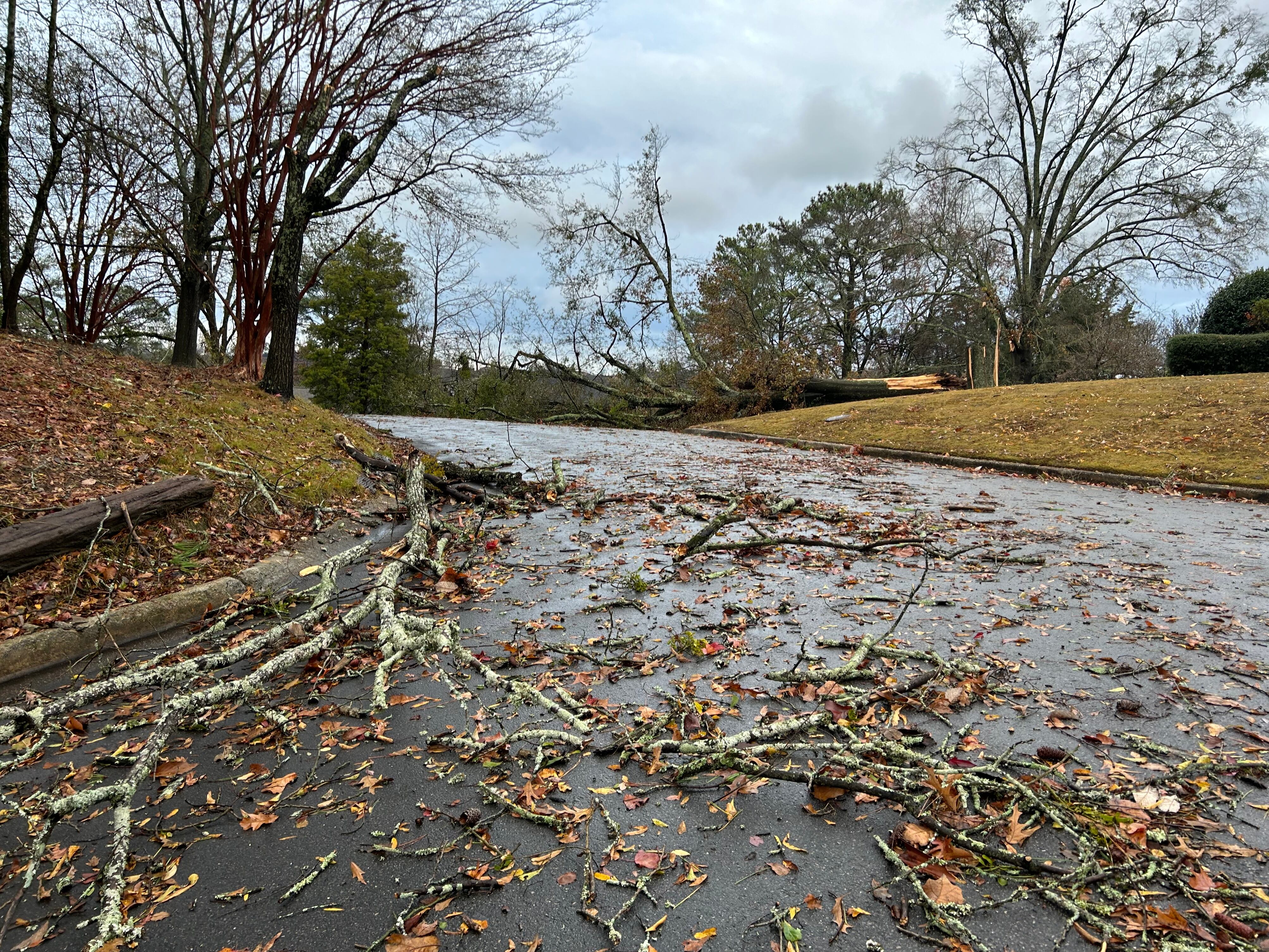 BBB warns of storm damage scams following Memorial Day weekend storms - Vimarsana News